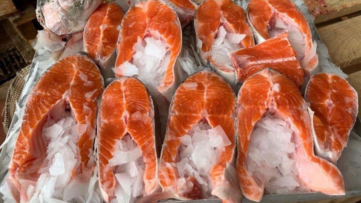 Trk somonu rekor ihracat hedefiyle in'de vitrine kyor! Srada Amerika var