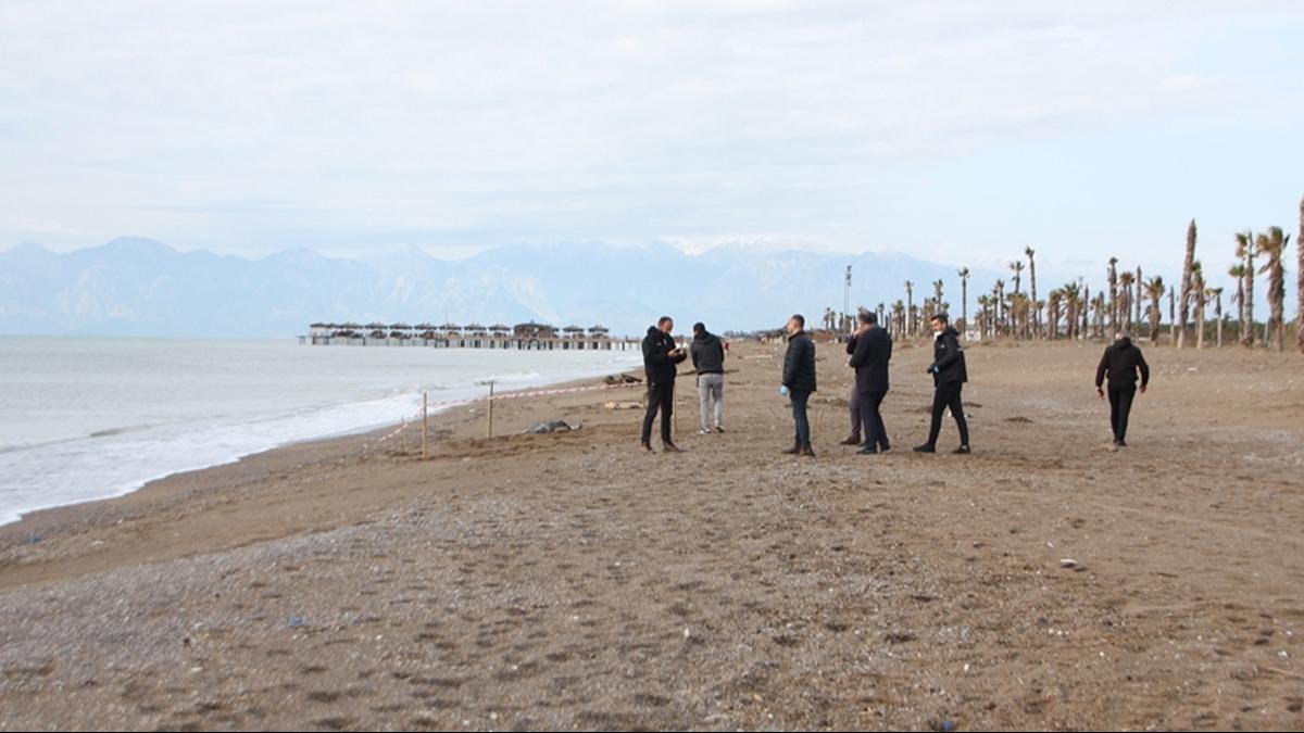 Bodrum'da dehşet anları: Adada erkek çocuk cesedi bulundu