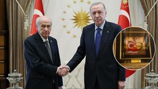 Bahçeli'den Cumhurbaşkanı Erdoğan'a anlamlı hediye: Cumhuriyetin 102. yılına özel tablo