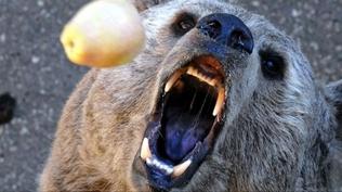 Aylar lke gndeminde! Japonya'da 12 l hkmeti harekete geirdi