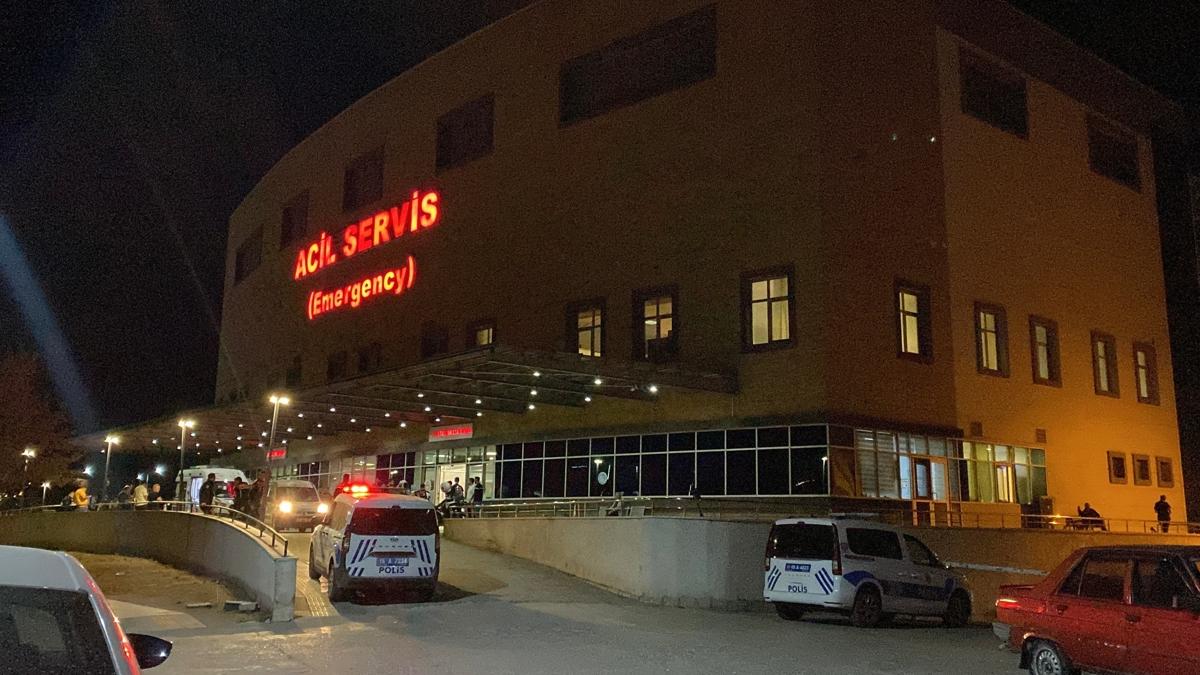 ''Hayvan otlatma'' kavgas kanl bitti: 2 kii ld