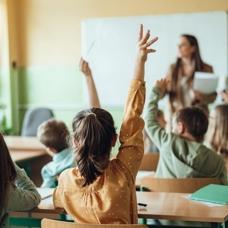 İlköğretim müfredatına yeni ders: Bilinçli tüketiciler yetişecek