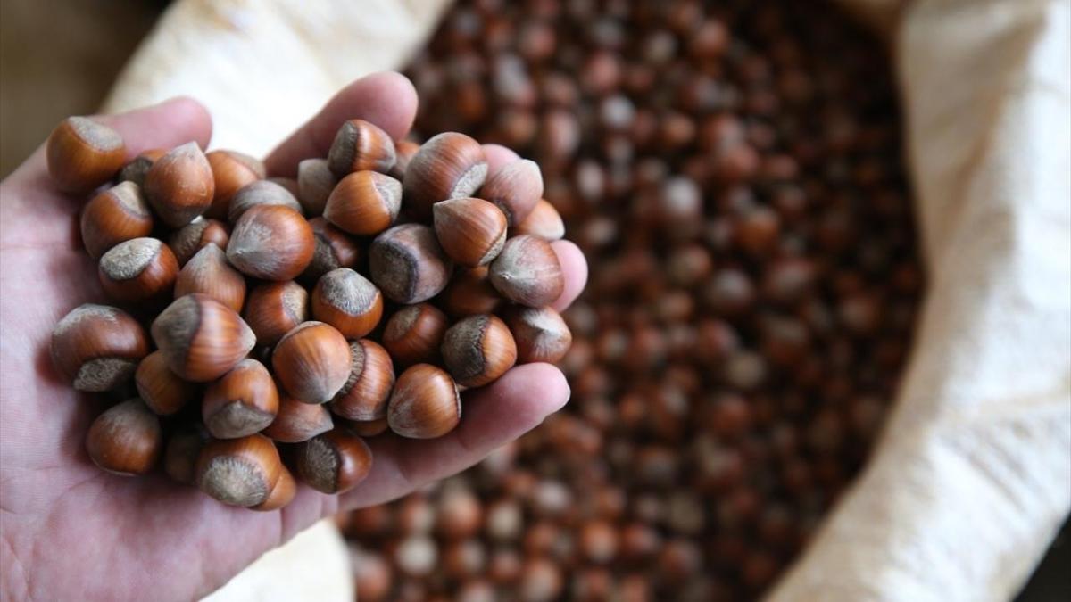 ''Ferrero Trkiye'den fndk almn durdurdu'' iddiasna aklama geldi: Piyasa maniplasyona teslim edilmez