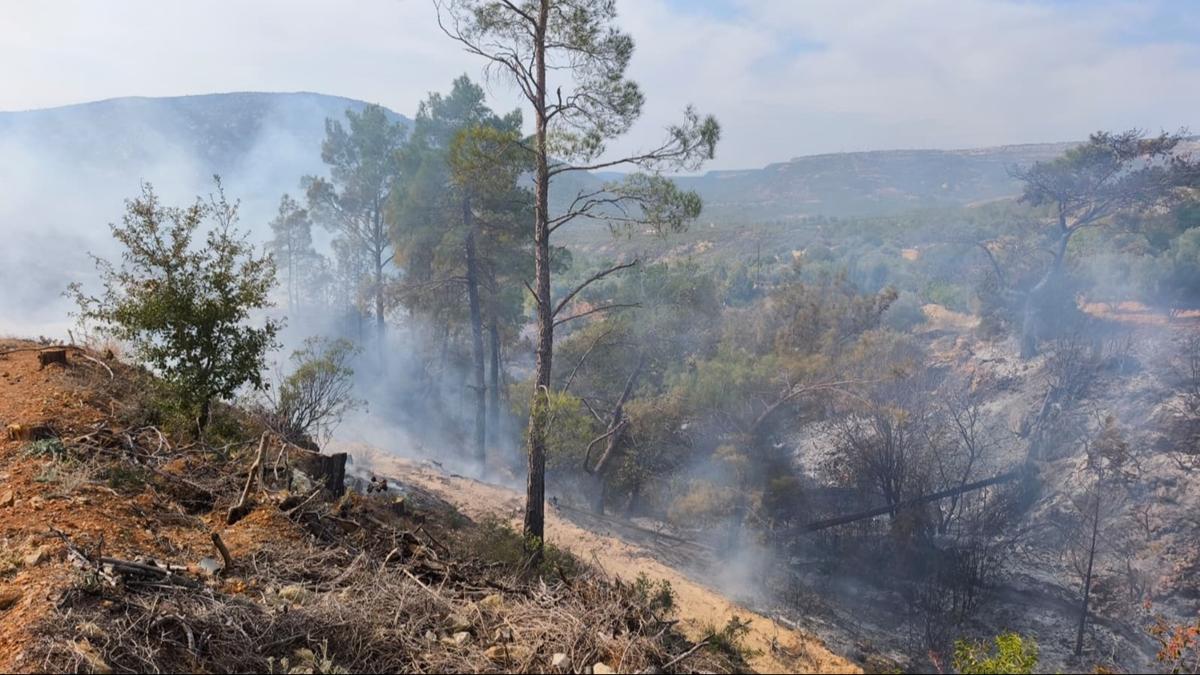 Mersin'de temizlik iin ate yakaym derken yangn kard: Hayatn kaybetti