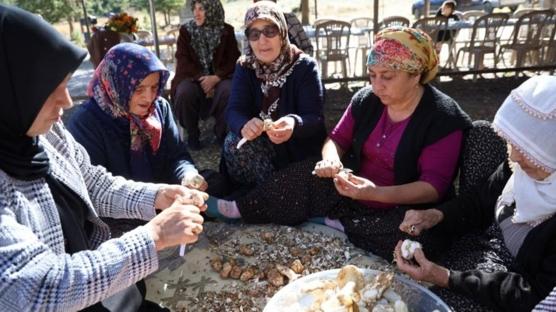 Japonların gözdesi Adana'dan ihraç ediliyor! Kilosu dudak uçuklatıyor