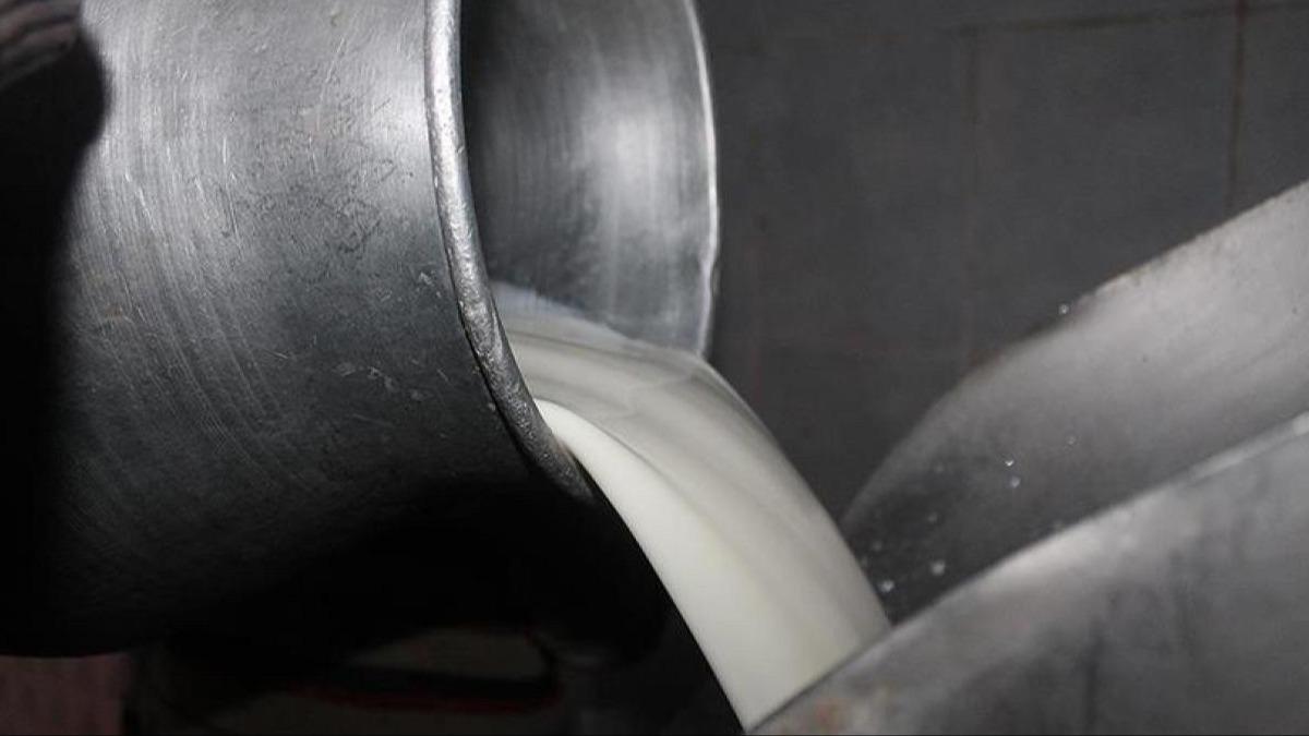 i ste yeni ya oran dzenlemesi