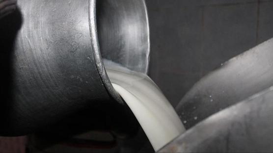 Çiğ süte yeni yağ oranı düzenlemesi