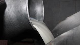 Çiğ süte yeni yağ oranı düzenlemesi