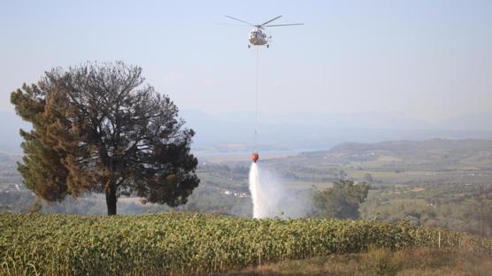 ukurova'daki yangn sndrld