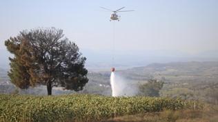 Çukurova'daki yangın söndürüldü