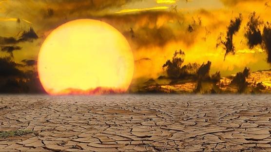 WMO ikinci en sıcak yılı açıkladı