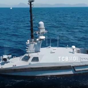 Mavi Vatan'a yerli akl