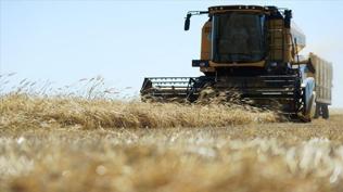 Tarımsal destekleme ödemeleri hesaplara aktarılıyor