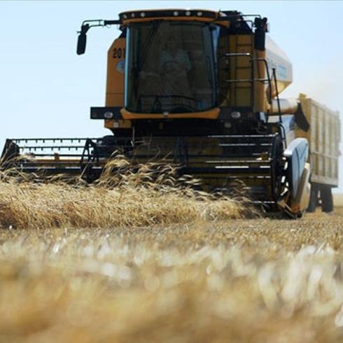 Tarmsal destekleme demeleri hesaplara aktarlyor