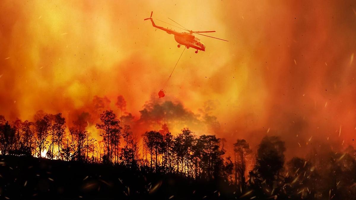 Yeil vatan yeniden filizleniyor: 11 bin 868 futbol sahas byklnde alan iin almalar balad