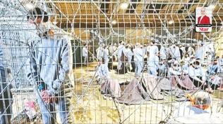 Siyonist yapıda cinsel işkence teşvik ediliyor