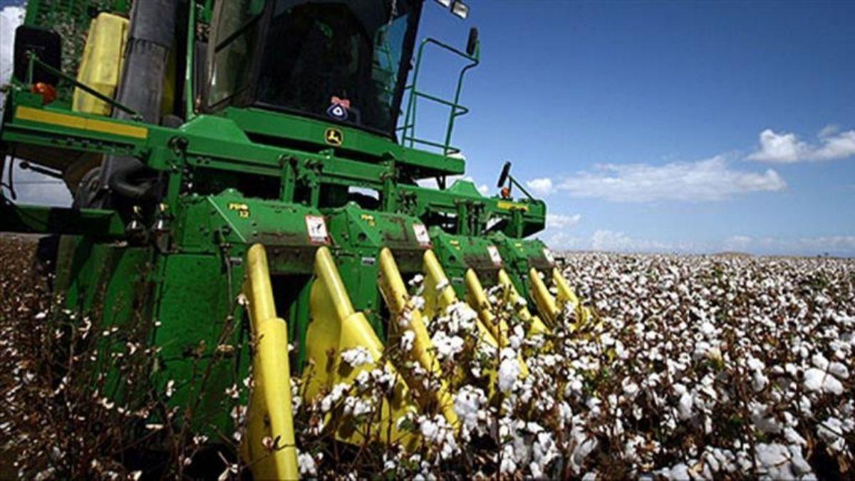 Pamuk yn altnda lm! Boularak can verdi