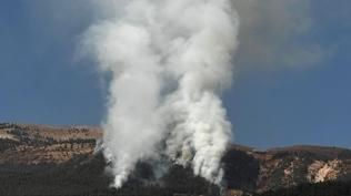 Kahramanmaraş'ta orman yangını! Ekipler olay yerine sevk edildi