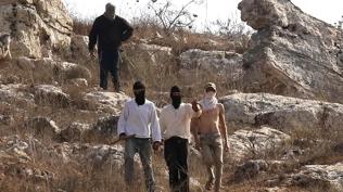 Soykırımcı ve işgalciler Filistinlilere saldırdı: 2 yaralı