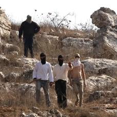 Soykırımcı ve işgalciler Filistinlilere saldırdı: 2 yaralı