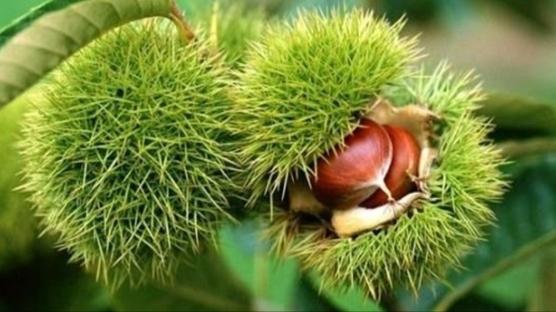 Tarmda yeni destek! Son bavuru tarihi 14 Kasm