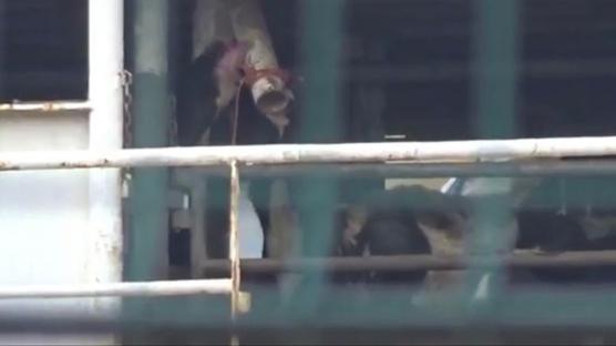 Bandrma aklarnda demirleyen gemi tedirgin etti