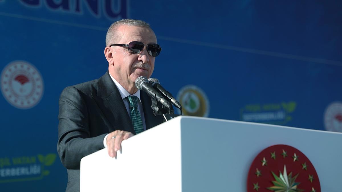Bakan Erdoan'dan ''Yeil Vatan'' vurgusu: 7.5 milyar fidan toprakla buluturduk 