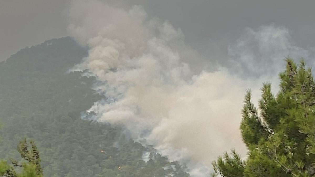 Hatay'da kan orman yangn havadan ve karadan mdahaleyle kontrol altna alnd