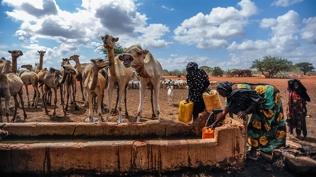 klim krizi 250 milyon kiiyi yerinden etti