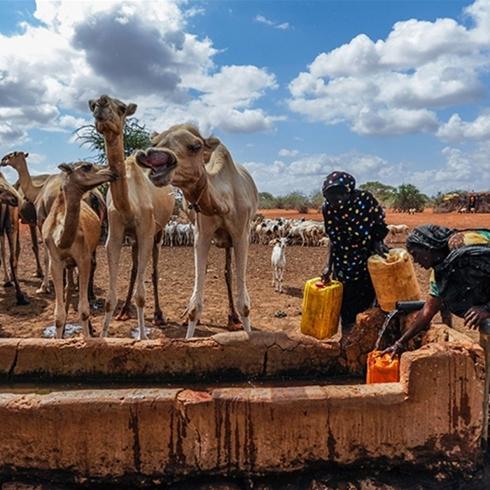 klim krizi 250 milyon kiiyi yerinden etti