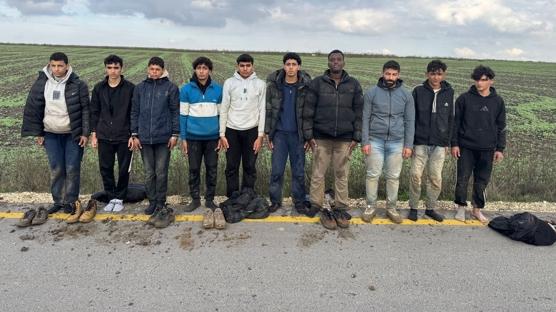 Dzensiz gle mcadele sryor