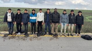 Dzensiz gle mcadele sryor