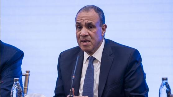 Mısır'dan Türkiye'ye Afrika daveti