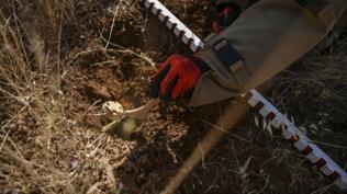 Suriye'de terör örgütü PKK/YPG'nin döşediği mayın 13 yaşındaki çocuğu hayattan kopardı