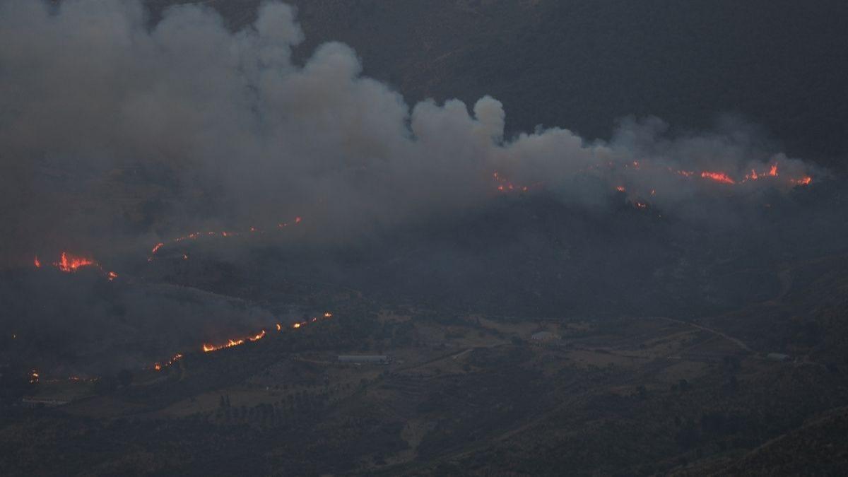 Cezayir'i saran orman yangnlar 8 kente yayld! Vatandalar tahliye ediliyor
