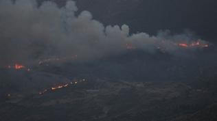Cezayir'i saran orman yangınları 8 kente yayıldı! Vatandaşlar tahliye ediliyor