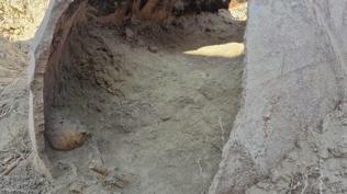 Ekipleri harekete geçiren keşif: Acıpayam'da 3500 yıllık gizem gün yüzüne çıktı