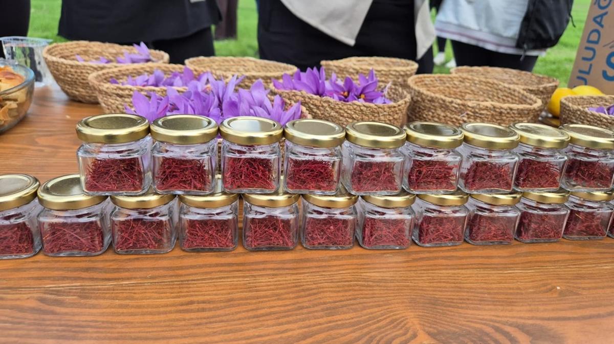 Gram 600 TL'den satlyor... Dnya'nn en pahal baharatnda hasat vakti