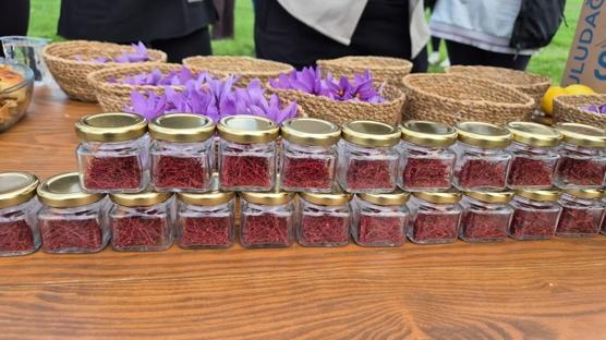 Dünya'nın en pahalı baharatında hasat vakti