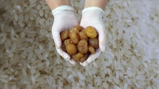 AB'de tescil rekoru! Trkiye 42 corafi iarete ulat