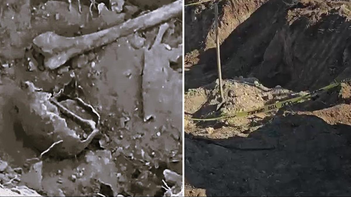 Toprak kplerin iinde insan kemikleri bulundu