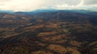 Bursa'da kle dnen ormanlar iin seferberlik: 300 bin fidan ekilecek