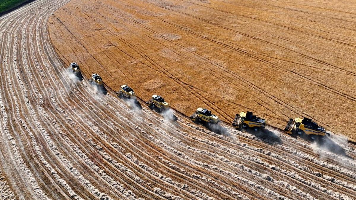 Kalknma programlar krsal blgelerde istihdam salyor