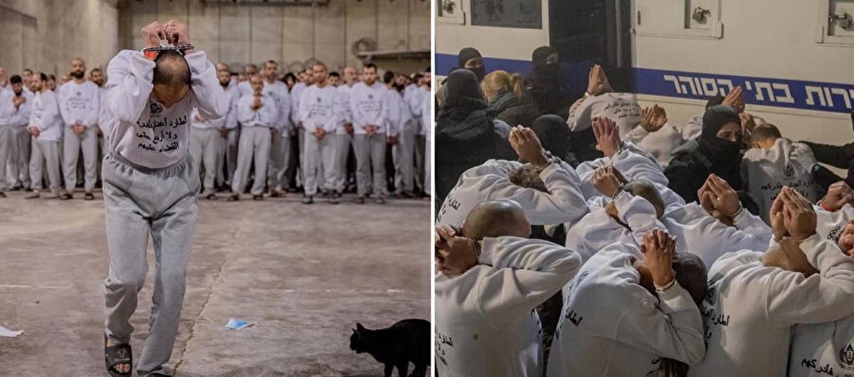 Katil srail yine insanlktan kt! Filistinlilere 'zehirli ineyle idam' plan