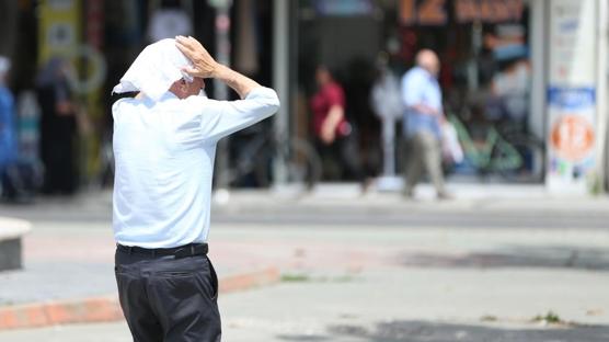 BM'den rkten rapor: Scakla bal lmler yzde 63 artt