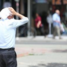 BM'den rkten rapor: Scakla bal lmler yzde 63 artt