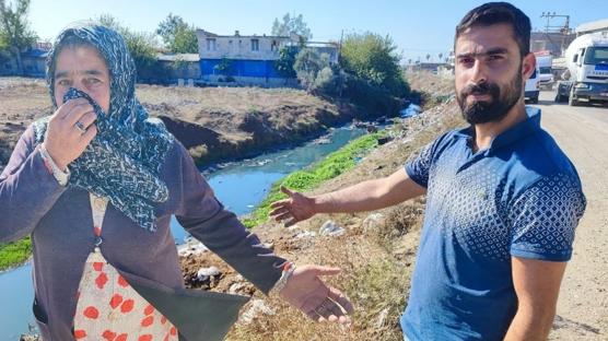 CHP'li belediye hizmeti deil ileyi reva grd