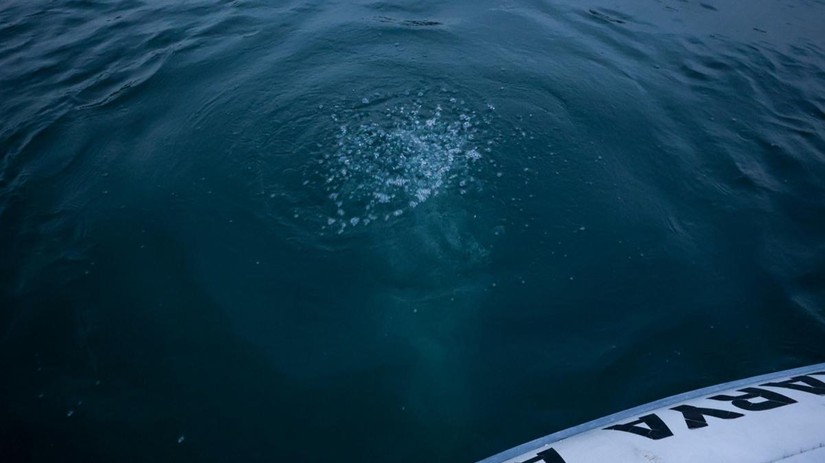 Sapanca Gl'nde endie veren kabarcklar! Vatandalar tedirgin