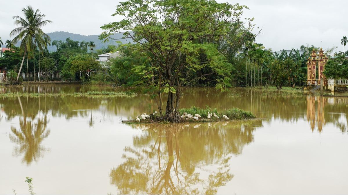 Vietnam'da sel felaketi: Onlarca kii hayatn kaybetti