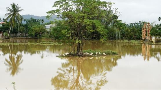 Vietnam'da sel felaketi: Onlarca kişi hayatını kaybetti
